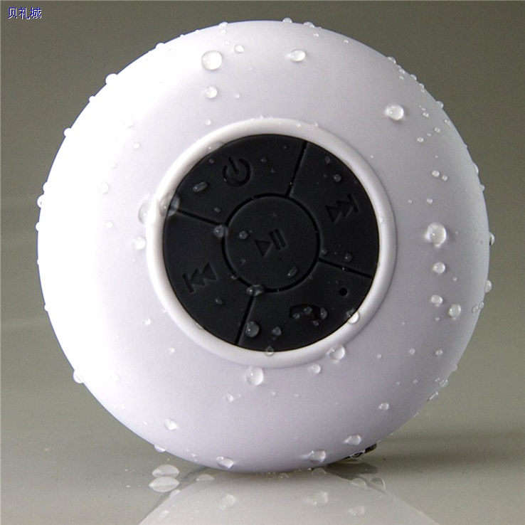 BTS-13 Bluetooth Speaker