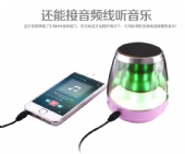 BTS-10 Bluetooth Speaker