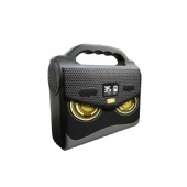 Portable Power Generator-BP21